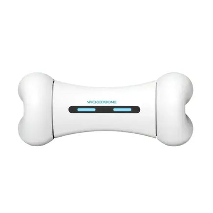 Dog playing with Interactive Smart Dog Bone in the park. BUY FOR DOG
