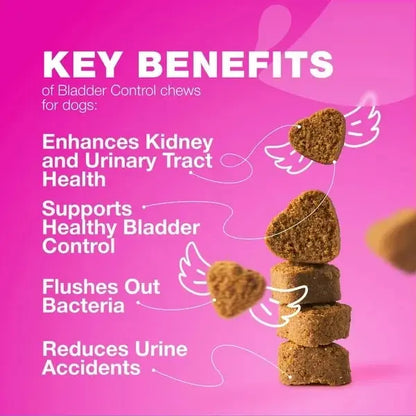 Key Benefits of Cranberry Bladder Chews for Dogs – Kidney Health, Urine Control, Bacteria Flush.