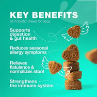 Key benefits of probiotic chews for dogs including gut health support, allergy relief, immune system boost, and digestion improvement.