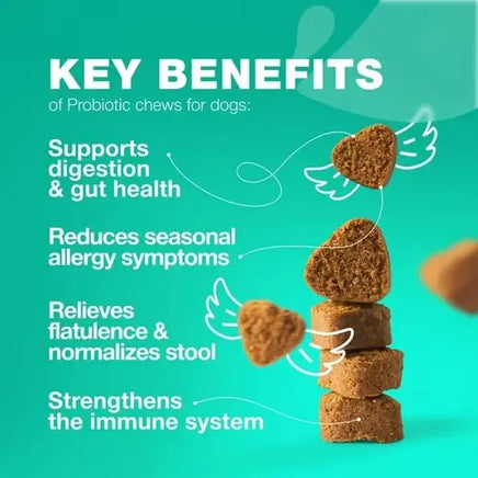 Key benefits of probiotic chews for dogs including gut health support, allergy relief, immune system boost, and digestion improvement.