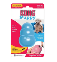 Hands filling an interactive KONG puppy chew toy made of natural rubber, ideal for teething relief, dental health, and extended play with treats