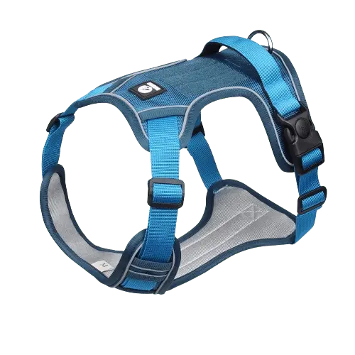 Light blue dog harness with adjustable straps and a comfortable padded chest plate.
