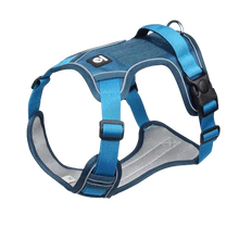 Light blue dog harness with adjustable straps and a comfortable padded chest plate.