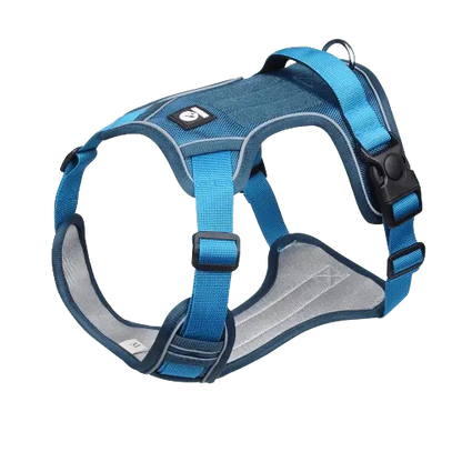 Light blue dog harness with adjustable straps and a comfortable padded chest plate.