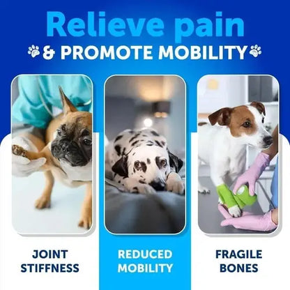 Dog mobility chews relieving stiffness and joint pain.