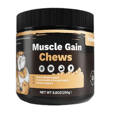 Muscle Gain Chews for Dogs front label with cartoon bulldog and product benefits.