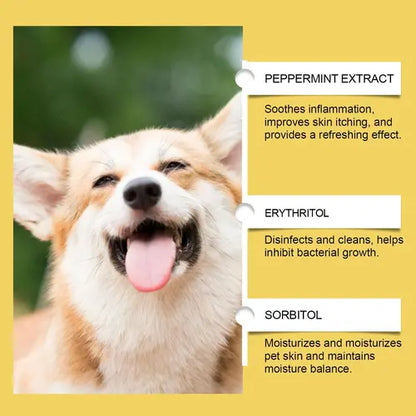 Happy Corgi dog with herbal ingredients for itchy dog relief – peppermint, erythritol, sorbitol.