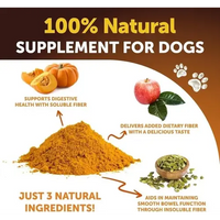 100% natural dog supplement made from pumpkin, apple, and pumpkin seeds for digestive health.