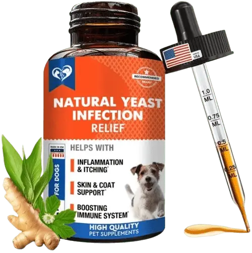 Natural yeast infection relief supplement for dogs with ginger and herbal blend in liquid dropper bottle.