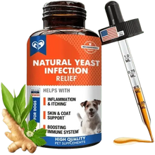 Natural yeast infection relief supplement for dogs with ginger and herbal blend in liquid dropper bottle.