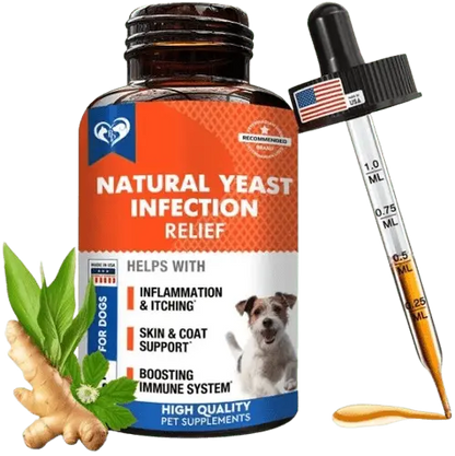 Natural yeast infection relief supplement for dogs with ginger and herbal blend in liquid dropper bottle.