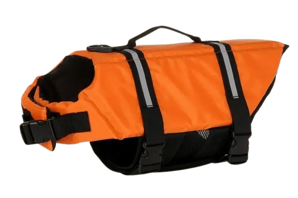 High Visibility Orange Safety Vest for Dogs. BUY FOR DOG