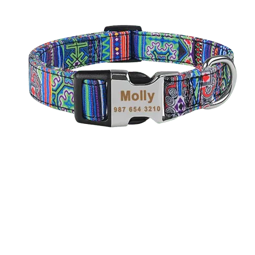 Custom Dog ID Collar with Engraved Name | Safe & Stylish