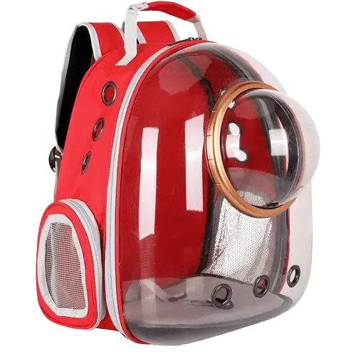 Transparent bubble window carrier backpack perfect for cats and small dogs. 
