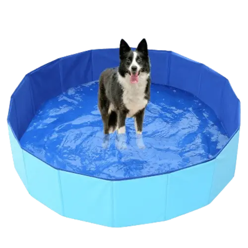 Foldable Pet Wading Pool compactly stored. Buy for Dog