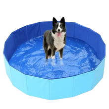 Foldable Pet Wading Pool compactly stored. Buy for Dog