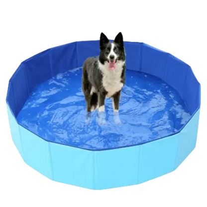 Foldable Pet Wading Pool compactly stored. Buy for Dog