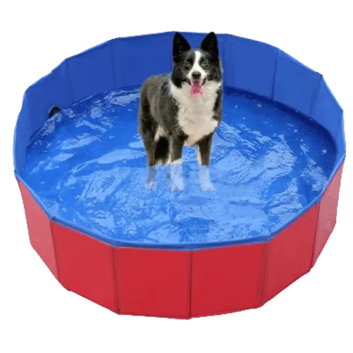 Pet Wading Pool set up in a sunny garden. Buy for Dog