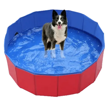 Pet Wading Pool set up in a sunny garden. Buy for Dog