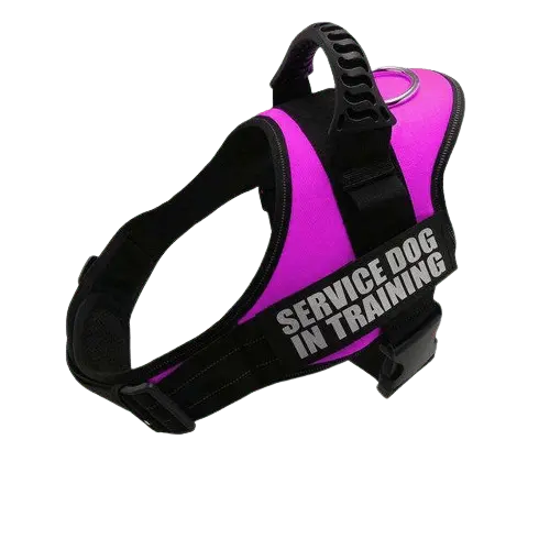 Pink Harness ID Name For Dogs, ideal for personalized pet safety and style. BUY FOR DOG