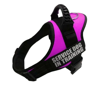 Pink Harness ID Name For Dogs, ideal for personalized pet safety and style. BUY FOR DOG