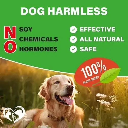 100% plant-based glucosamine for dogs - safe, natural, soy-free, and chemical-free for everyday joint support.