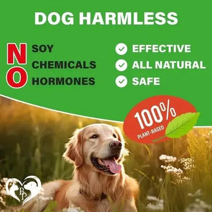 100% plant-based glucosamine for dogs - safe, natural, soy-free, and chemical-free for everyday joint support.