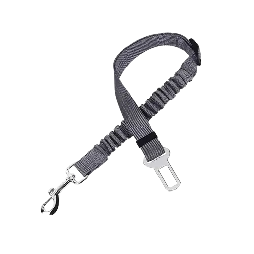 Fashionable dog wearing a colorful car safety belt. Buy for Dog