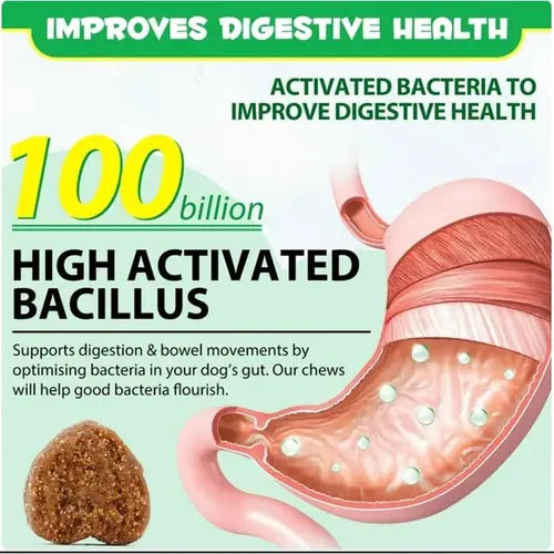 Probiotic chews for dogs showing 100 billion active bacillus supporting gut health.