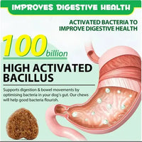 Probiotic chews for dogs showing 100 billion active bacillus supporting gut health.