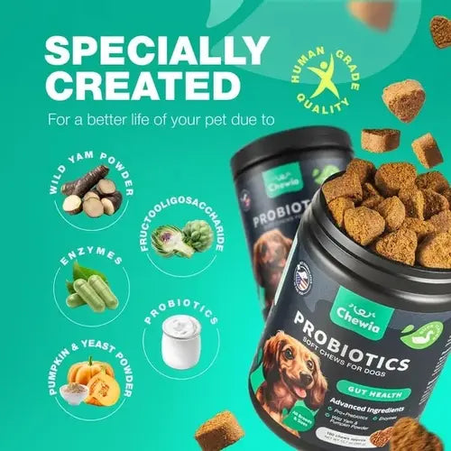 Probiotic soft chews for dogs with natural ingredients like wild yam, pumpkin powder, and probiotics for gut health.