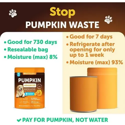 Pumpkin powder vs canned pumpkin for dogs – long shelf life and low moisture content comparison.