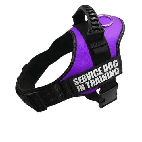 Purple Harness ID Name For Dogs, combining fashion with comfort for daily wear. BUY FOR DOG