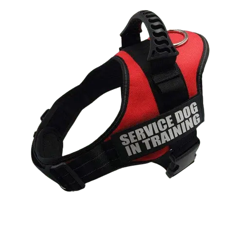 Vibrant Red Harness ID Name For Dogs, perfect for stylish pets and enhanced visibility. BUY FOR DOG