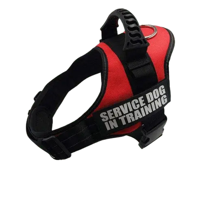 Vibrant Red Harness ID Name For Dogs, perfect for stylish pets and enhanced visibility. BUY FOR DOG