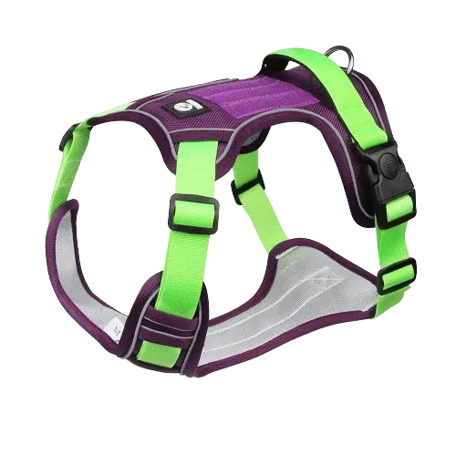 Lime green and purple dog harness with reflective stripes and a sturdy metal buckle.