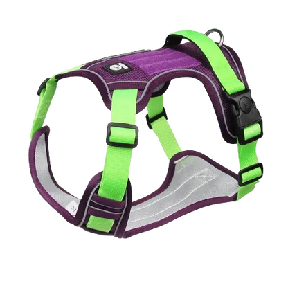 Lime green and purple dog harness with reflective stripes and a sturdy metal buckle.
