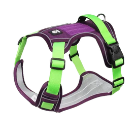 Lime green and purple dog harness with reflective stripes and a sturdy metal buckle.