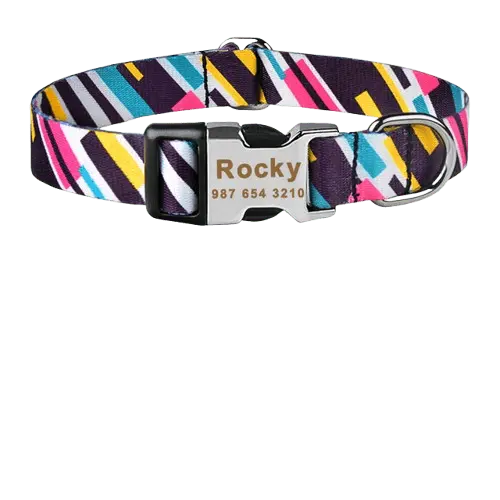 Custom Dog ID Collar with Engraved Name | Safe & Stylish