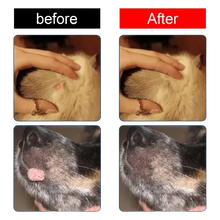Before and after results of natural dog wart removal treatment on cat and dog.