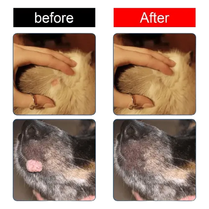Before and after results of natural dog wart removal treatment on cat and dog.