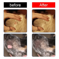 Before and after results of natural dog wart removal treatment on cat and dog.