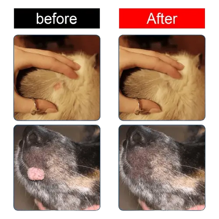 Before and after results of natural dog wart removal treatment on cat and dog.