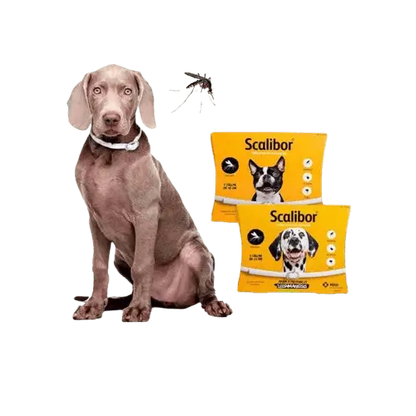 Scalibor protective collar preventing Leishmaniasis in dogs, safe pet health. BUY FOR DOG