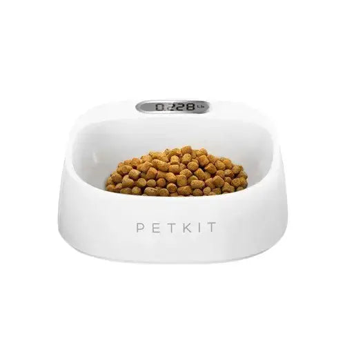 Smart dog bowl with food showing portion control and healthy feeding.