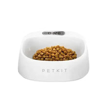 Smart dog bowl with food showing portion control and healthy feeding.