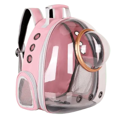Veterinarian recommended pet carrier backpack for reducing pet stress during travel.