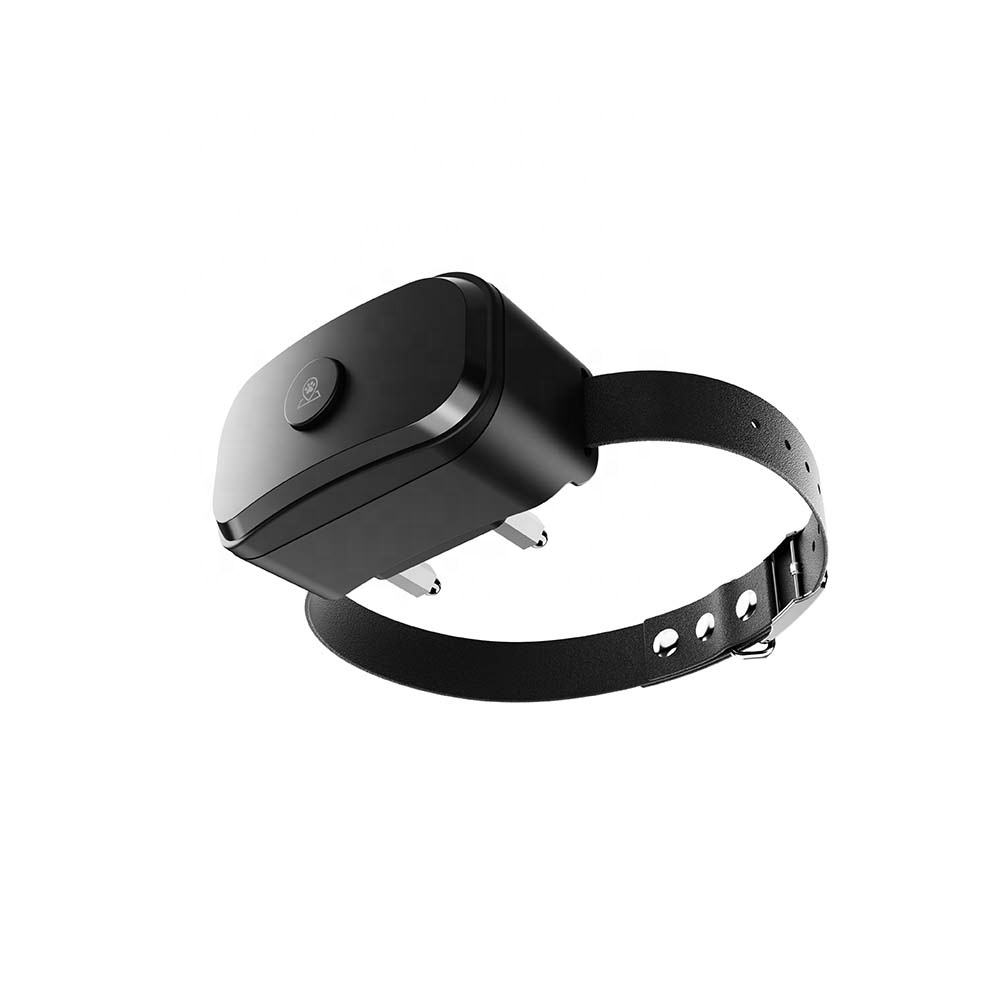 Dog playing safely inside GPS invisible fence boundary by BUY FOR DOG