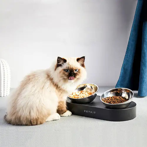 A cat eating from a tilted bowl designed for neck strain relief and improved digestion.