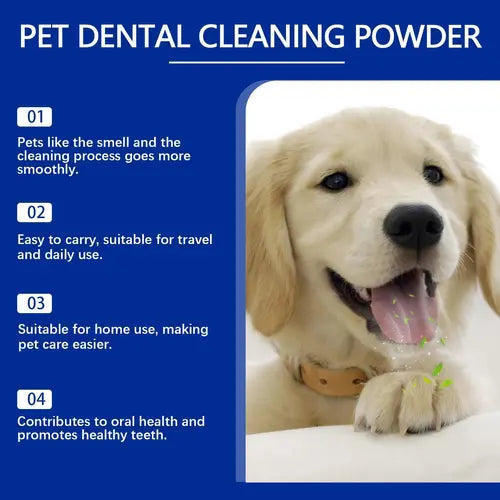 Labrador puppy showing benefits of dog tooth cleaner powder for tartar removal and fresh breath